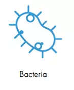 bacteria-illustration-whole-house-fans-eco-air-solutions